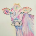 Animals-8-of-15