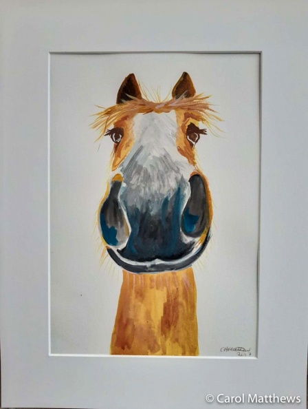 Animals-13-of-15.jpg
